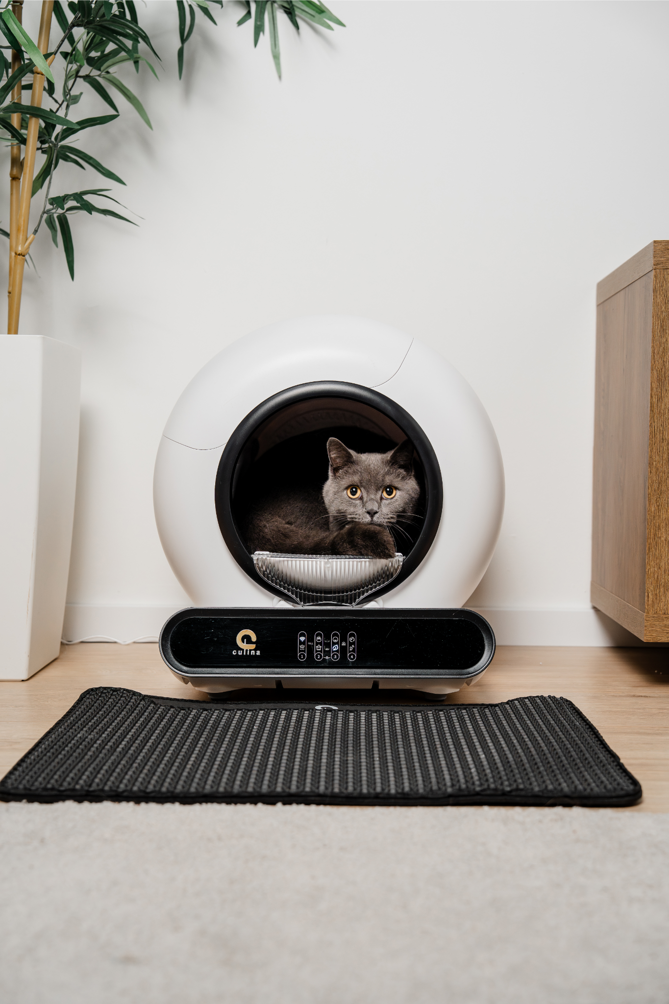 Cadeau-ideeën voor kattenliefhebbers (inclusief dé kattenbak-upgrade!)